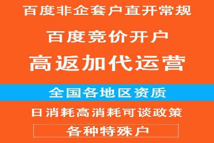 百度SEO推广策略案例：一家公司的成功转型之路